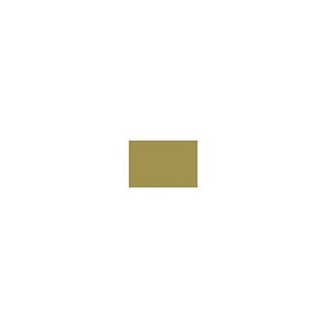 Vallejo GER DARK YELLOW PRIMER