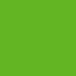 Vallejo GOBLIN GREEN GAME