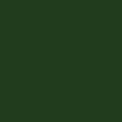 Tru-Color SAFETY GREEN 1 OZ    