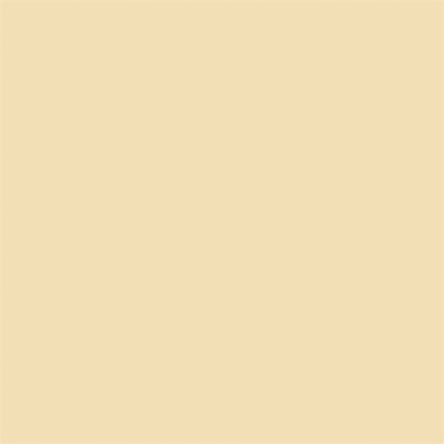 Tru-Color MATTE CREAM STUCCO 1 OZ