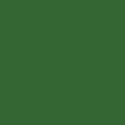 Tru-Color SASSY GRASS GREEN 1OZ