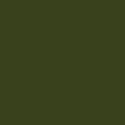 Tru-Color FS 34079 FOREST GREEN 1OZ     