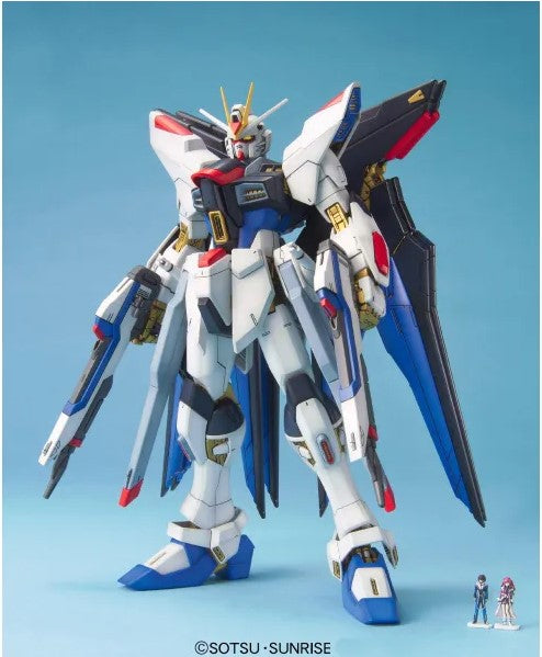 1/100 MG GUNDAM"SEED"DEST     