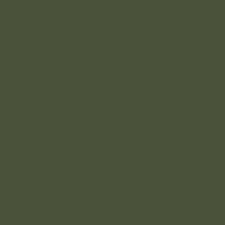 RUSSIAN DARK OLIVE 34102      