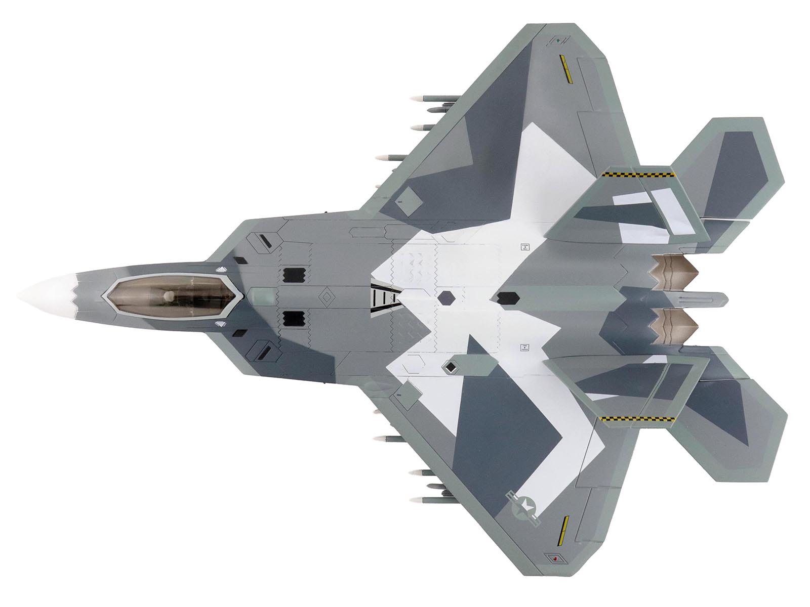 F-22 Raptor HA2831-3 Top View