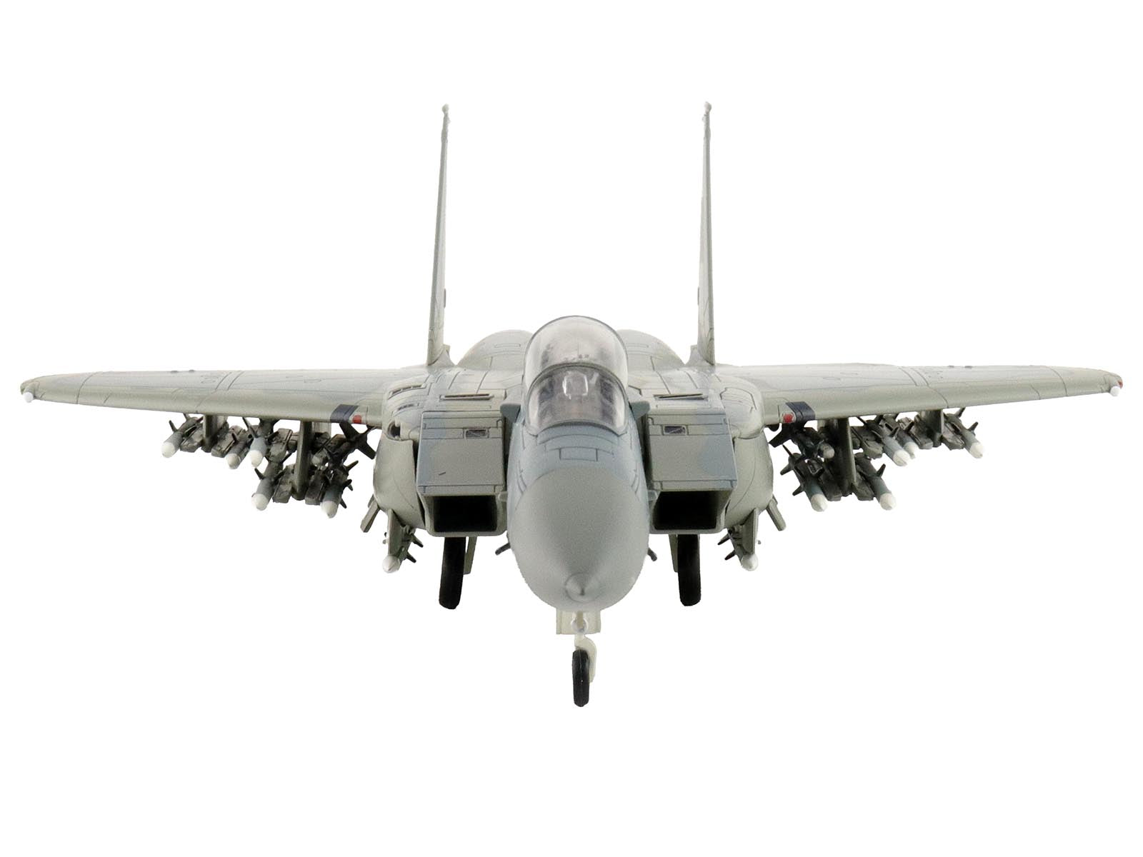 HA4568-5 F-14 Tomcat model with missiles, front view