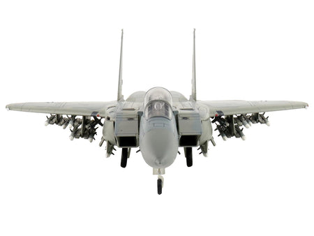 HA4568-5 F-14 Tomcat model with missiles, front view