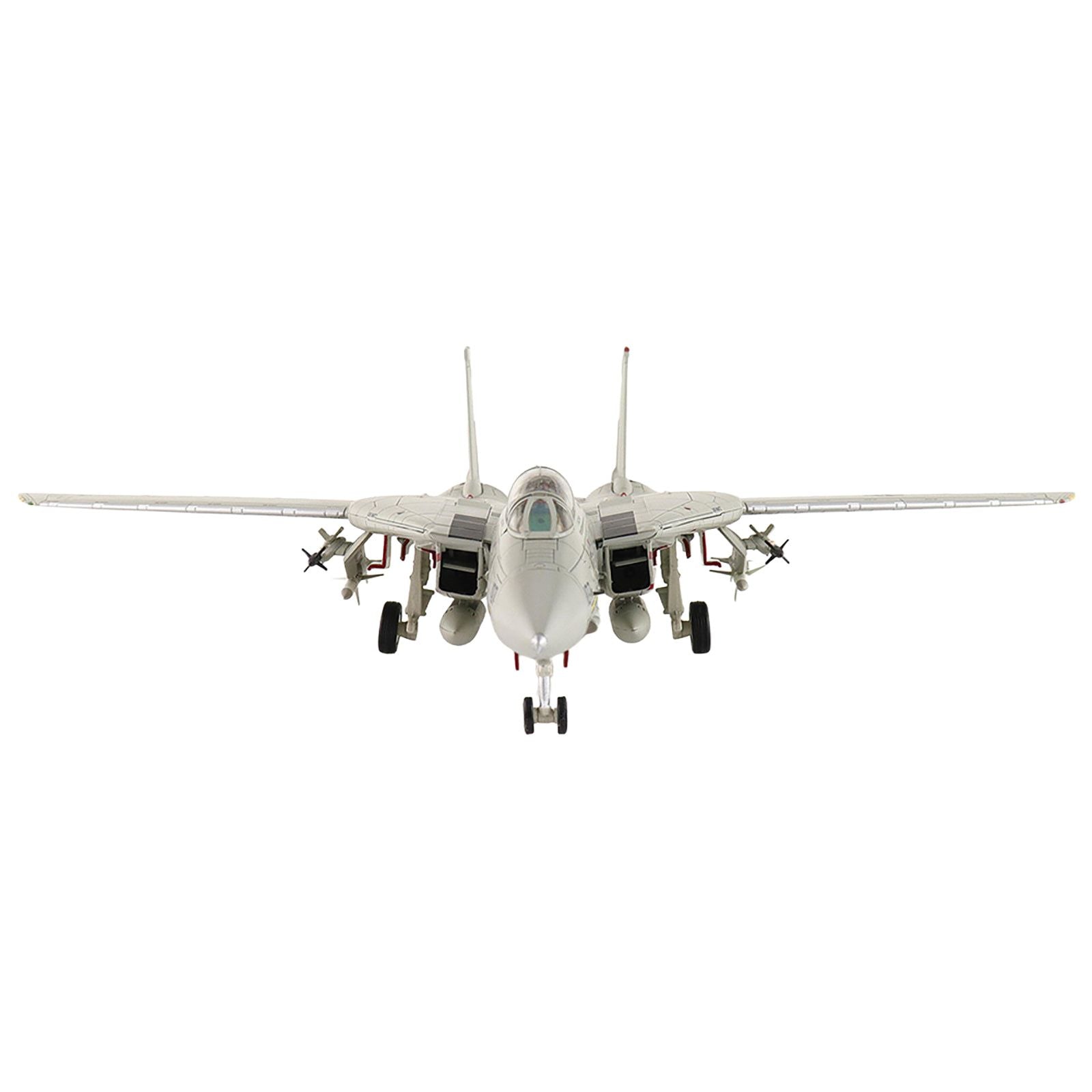 F-14 Tomcat model aircraft