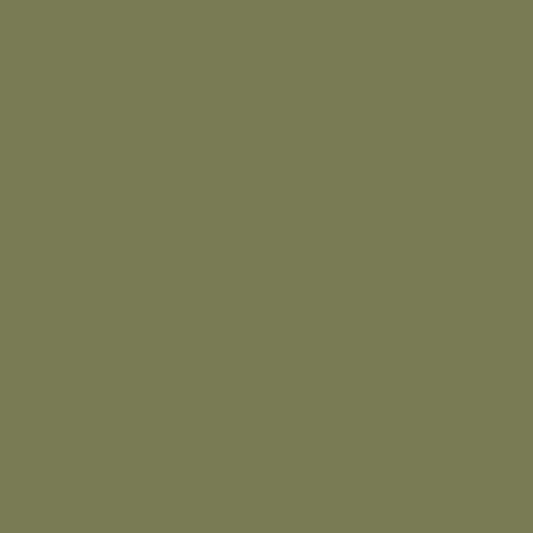 US ARMY OLIVE DRAB FADED      