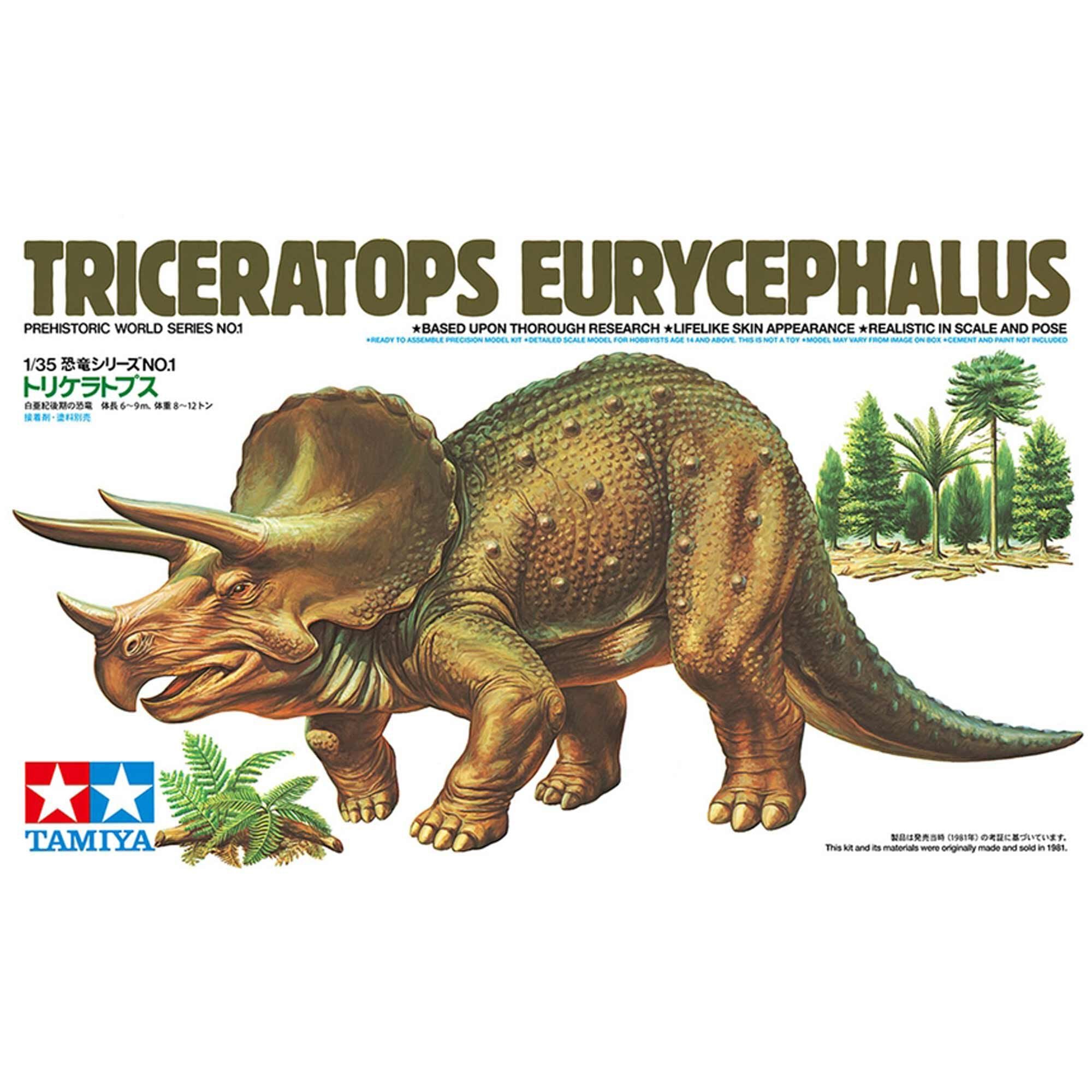 TAM60201_A1_U4JVJ9EJ Triceratops Eurycephalus model
