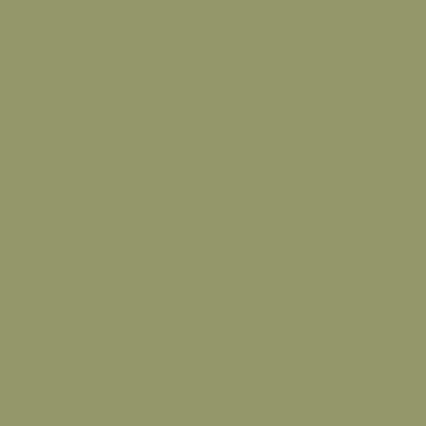 US ARMY OLIVE DRAB FADED2     