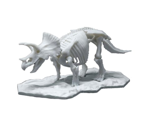 Bandai Hobby Dinosaur Model Kit Limex Skeleton: Triceratops Model Kit Plastic Model Kit