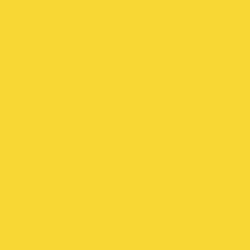 FEC YELLOW 1 OZ-Tru-Color-ModelCars.com