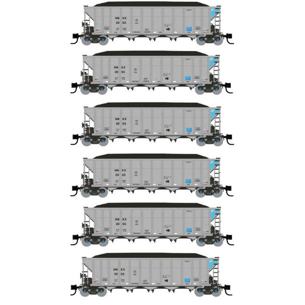 N MBKX AUTOFLOOD 6/PK #2      