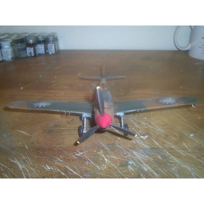 Revell 1/48 P-40B Tiger Shark-Revell-ModelCars.com