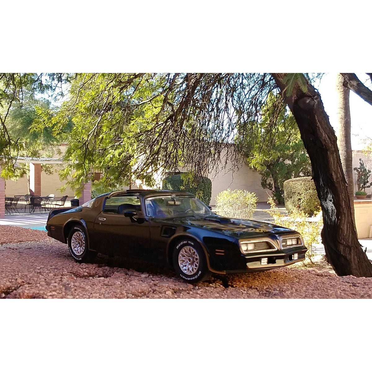 Revell Germany 1/25 Smokey/Bandit 1977 Pontiac Firebird-Revell-ModelCars.com