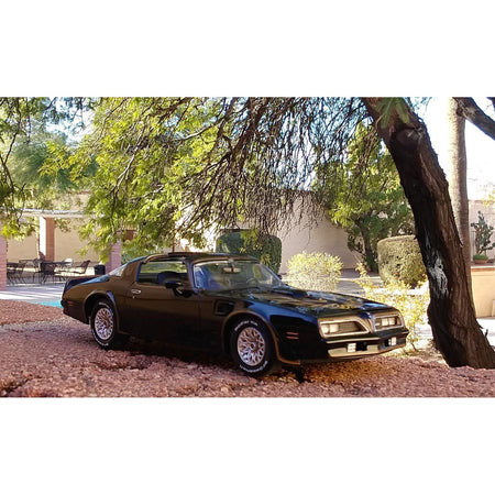 Revell Germany 1/25 Smokey/Bandit 1977 Pontiac Firebird-Revell-ModelCars.com