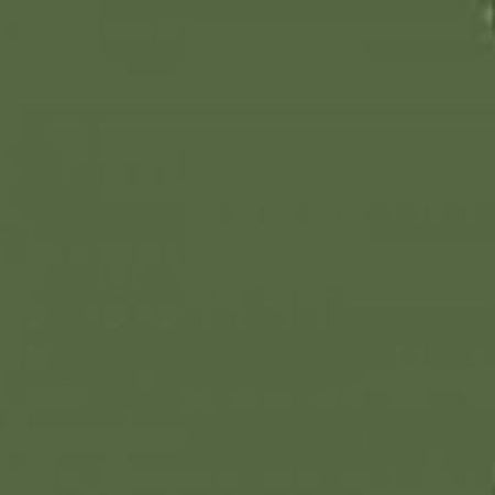 RUSSIAN DARK OLIVE2 34096 - Mission Model Paints - ModelCars.com