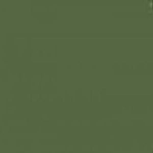 Mission Model Paints MMP030 Russian Drk Olive Faded 1