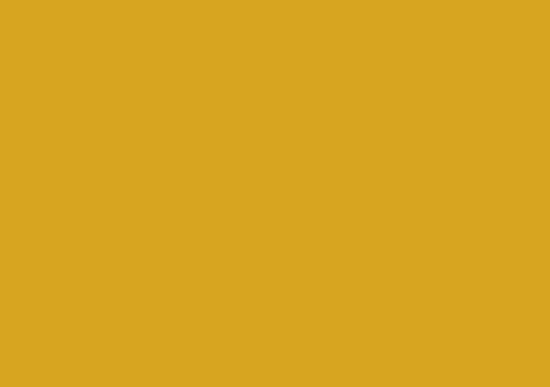 Tru-Color YELLOW BROWN