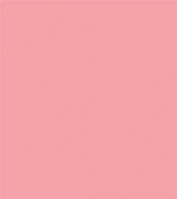 Tru-Color SALMON PINK MATTE EXT WAL     