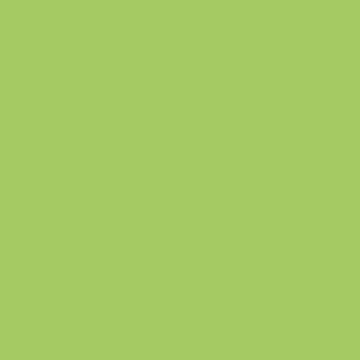 Tru-Color MATTE ROOF LIME GREEN