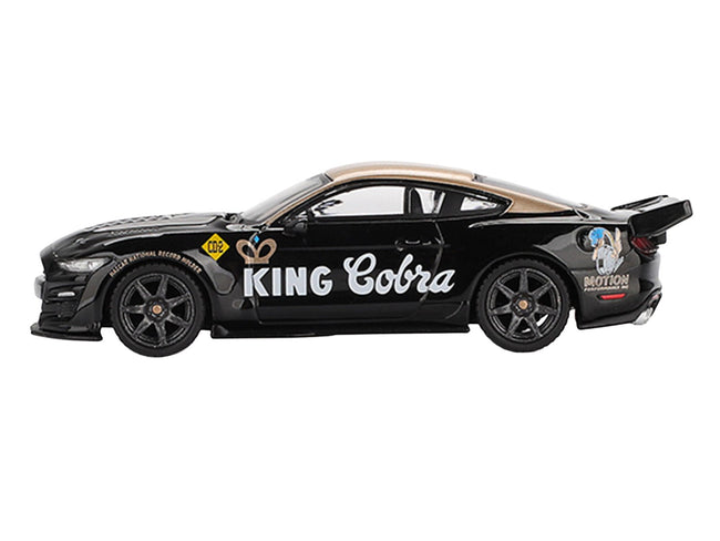 Shelby GT500 Dragon Snake Concept "King Cobra" Black with Gold Metallic Top Limited Edition 1/64 Diecast Model Car by Mini GT-Mini GT-ModelCars.com