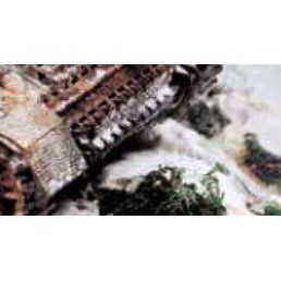 SNOW - Vallejo - ModelCars.com