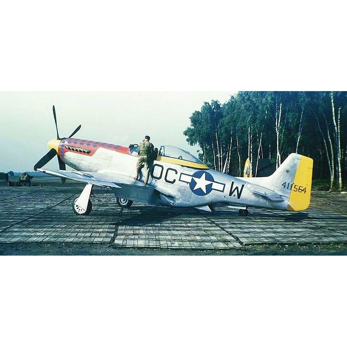 Tamiya 1/48 North American P-51D Mustang-Tamiya-ModelCars.com