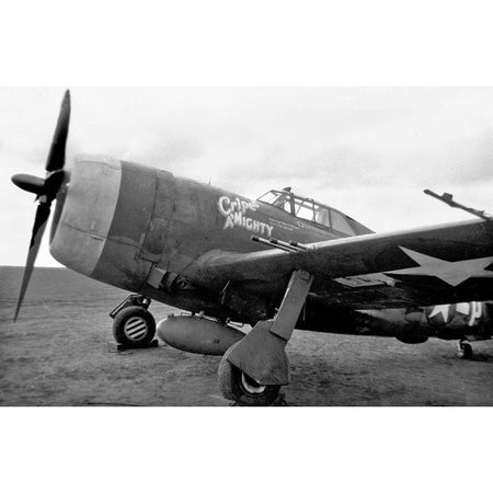 Tamiya 1/48 Scale Scale Republic P - 47D Thunderbolt "Razorback" - Tamiya - ModelCars.com