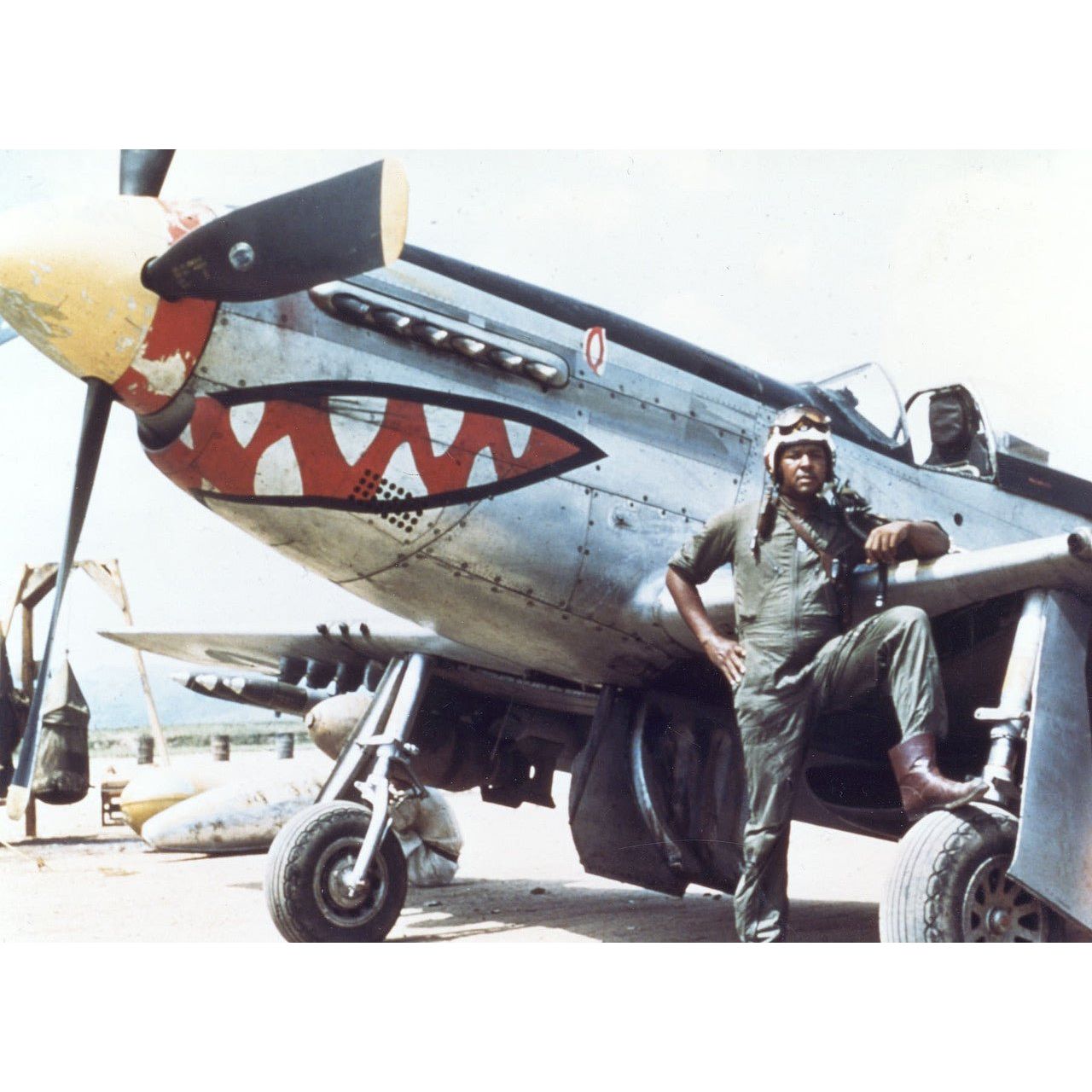 Tamiya F - 51D Mustang Korean War - Tamiya - ModelCars.com