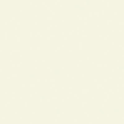 Tru - Color ALPINE WHITE 1OZ - Tru - Color - ModelCars.com