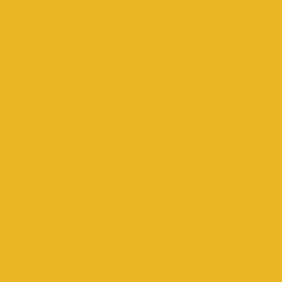 Tru - Color CHROME YELLOW 1OZ - Tru - Color - ModelCars.com