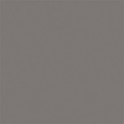 Tru - Color MATTE STEEL 1 OZ - Tru - Color - ModelCars.com