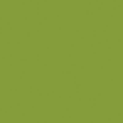 Tru - Color NITRO YELLOW GREEN - Tru - Color - ModelCars.com