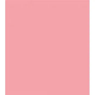 Tru - Color SALMON PINK MATTE EXT WAL - Tru - Color - ModelCars.com