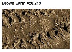 BROWN EARTH                   