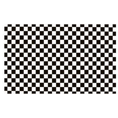 Gofer Racing 1/24 Scale Black & White Check Decal Sheet
