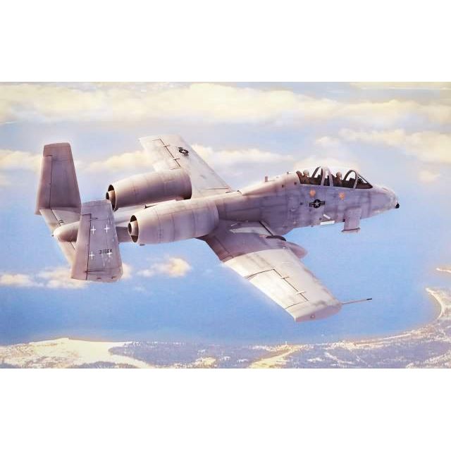 Hobby Boss 1/48 N/AW A-10A THUNDERBOLT‹¨« II 80324-Hobby Boss-ModelCars.com